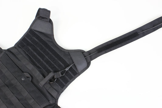 ENFORCER PLATE CARRIER ASSEMBLY GUIDE