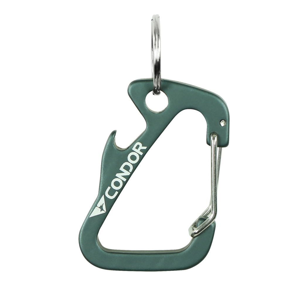 Carabiner Keychain