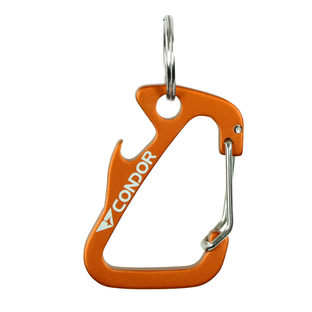 Carabiner Keychain