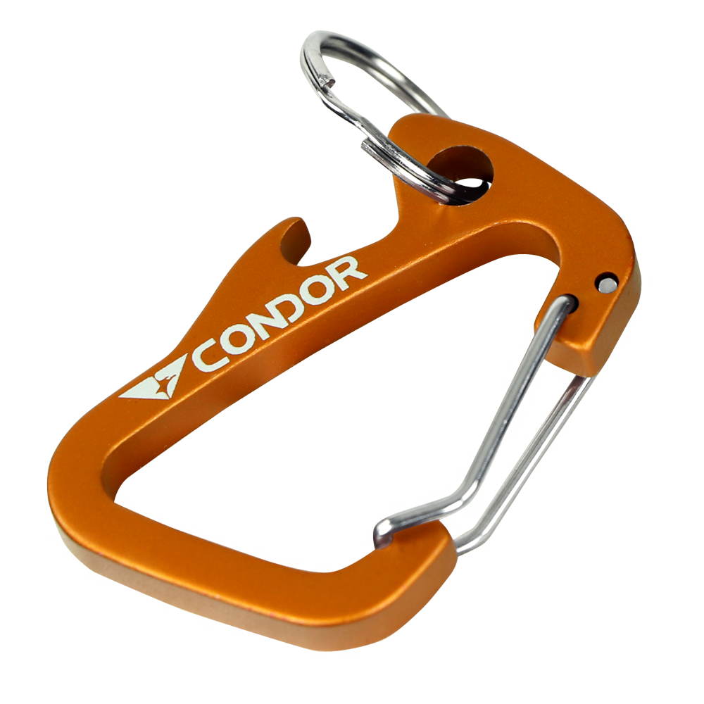 Carabiner Keychain