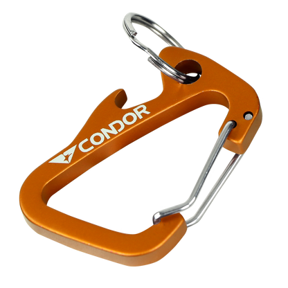 Carabiner Keychain